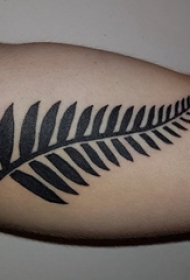植物纹身 男生手臂上黑色的植物纹身图片