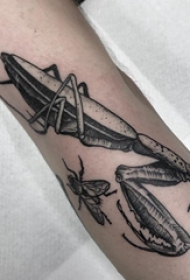 螳螂纹身图案 男生手臂上黑色的螳螂纹身图片
