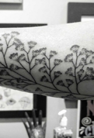 植物纹身  女生手臂上黑灰的植物纹身图片