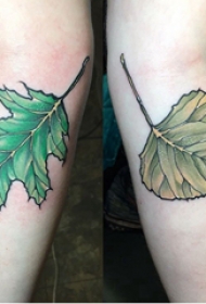 树叶纹身图 女生手臂上彩色的树叶纹身图片
