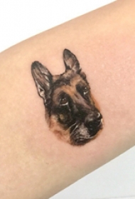 小狗纹身图片  女生小臂上可爱的小狗纹身图片