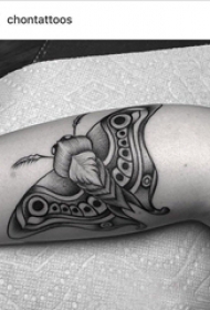 手臂纹身素材 男生手臂上黑色的飞蛾纹身图片