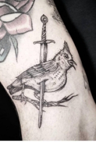 纹身鸟  女生手臂上鸟和剑纹身图片