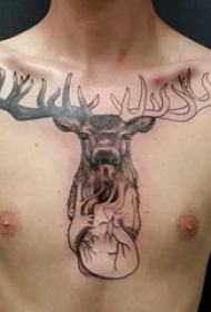 麋鹿纹身图案男 男生胸部心脏和麋鹿纹身图片