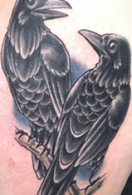 纹身鸟   男生后背上彩绘的鸟纹身图片
