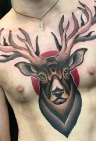 纹身胸部男 男生胸部彩色的鹿纹身图片