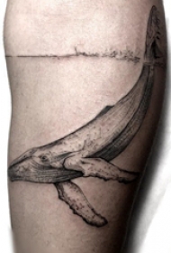 纹身鲸鱼   男生手臂上创意的鲸鱼纹身图片