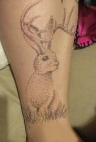 纹身点刺技巧 女生小腿上黑灰的兔子纹身图片