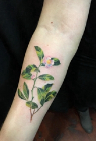 小清新 纹身  女生手臂上彩绘的植物纹身图片