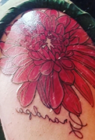 纹身菊花图案  女生肩膀上唯美的菊花纹身图片