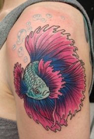 纹身红鲤鱼 女生大臂上彩色的鱼纹身图片