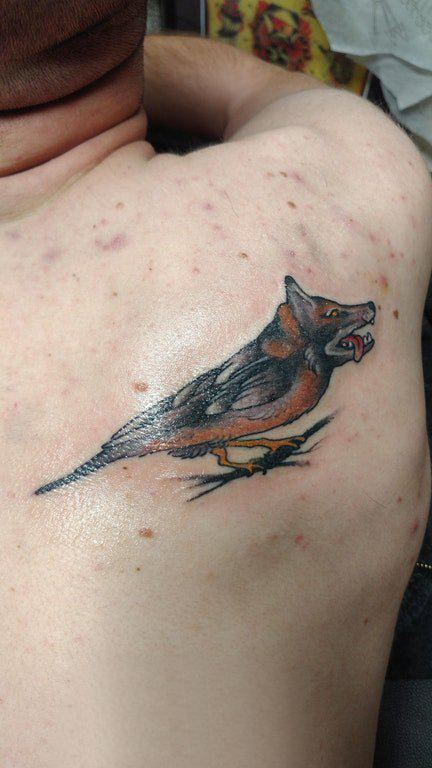 点击大图看下一张：百乐动物纹身 男生后背上狼头和鸟纹身图片
