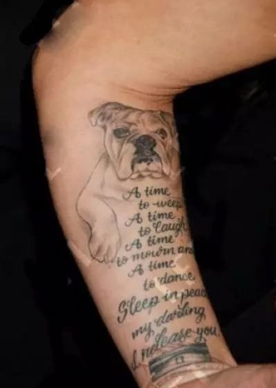 点击大图看下一张：国际纹身明星  Pink小臂上狗和英文纹身图片