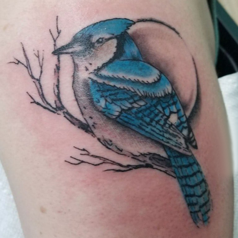 点击大图看下一张：纹身鸟  男生手臂上鸟和树枝纹身图片