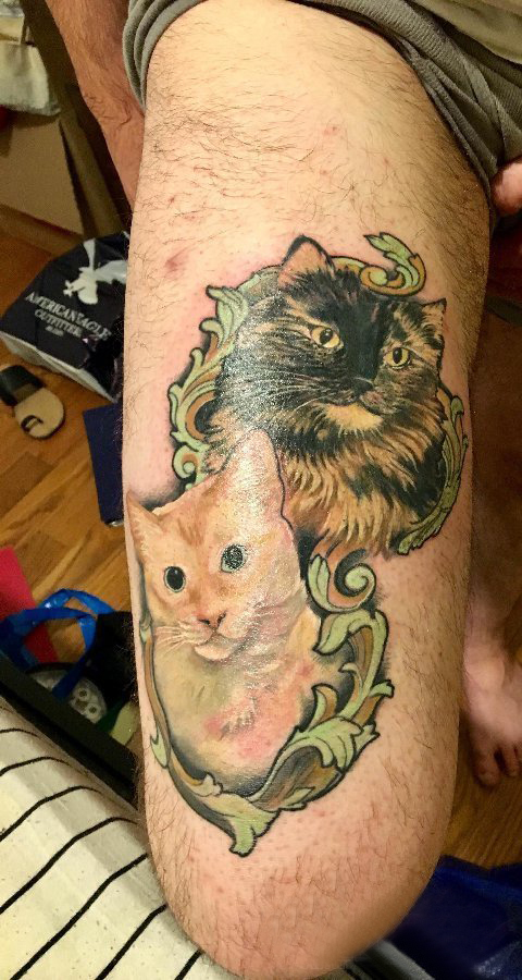 点击大图看下一张：小动物纹身 男生大腿上彩色的猫咪纹身图片