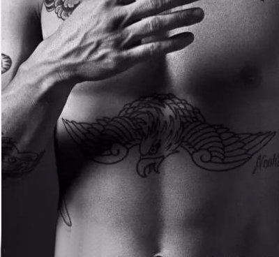 点击大图看下一张：美国纹身明星  Adam Levine 胸上黑色的老鹰纹身图片