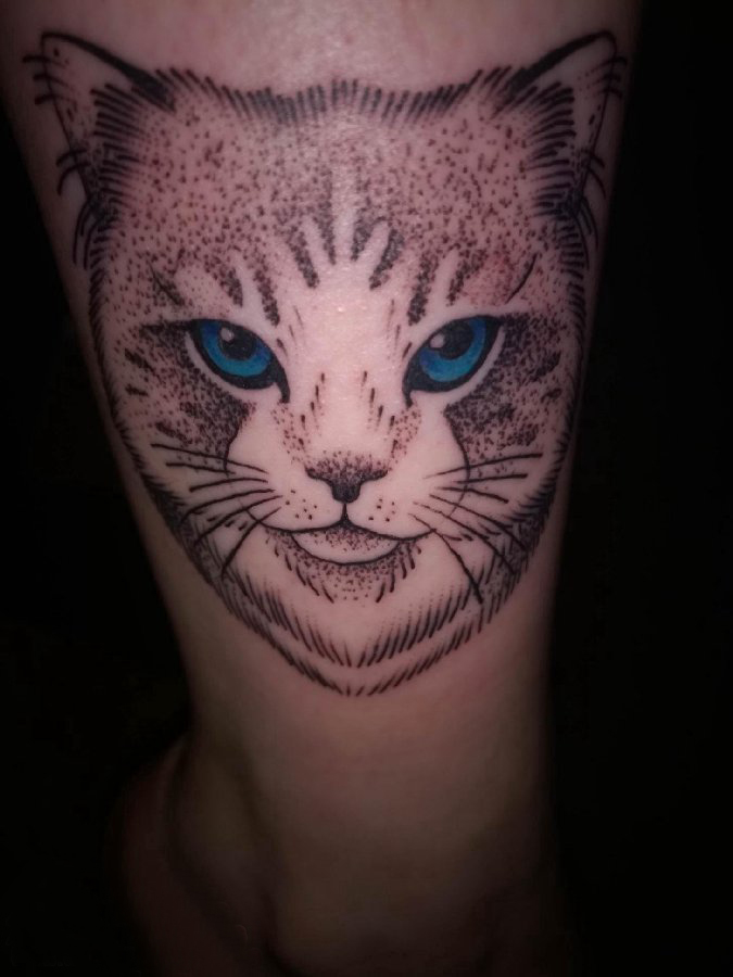 点击大图看下一张：小猫咪纹身  女生小腿上彩绘的小猫咪纹身图片