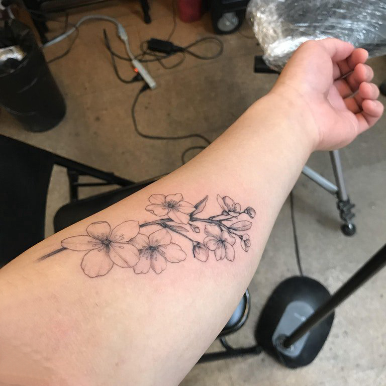 点击大图看下一张：樱花纹身 女生手臂上黑灰的樱花纹身图片