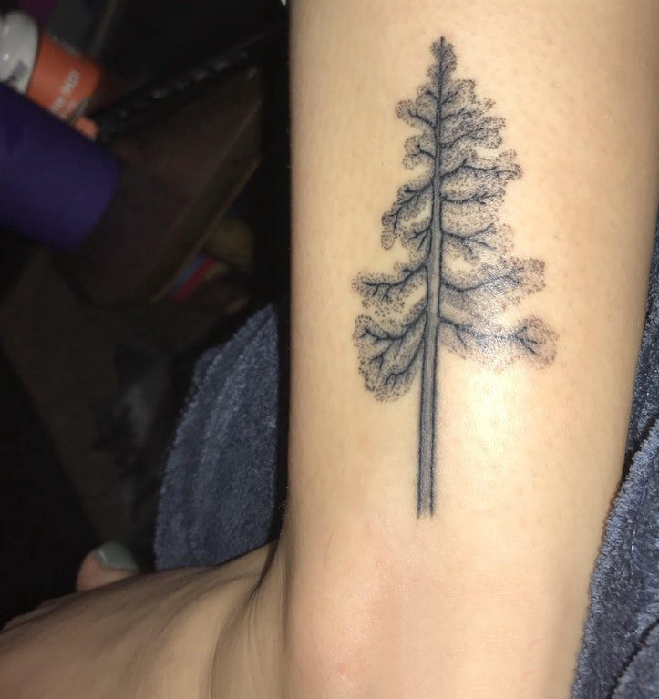 点击大图看下一张：植物纹身 男生手臂上茂密的大树纹身图片