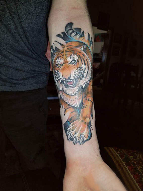 点击大图看下一张：百乐动物纹身  男生手臂上彩绘老虎纹身图片