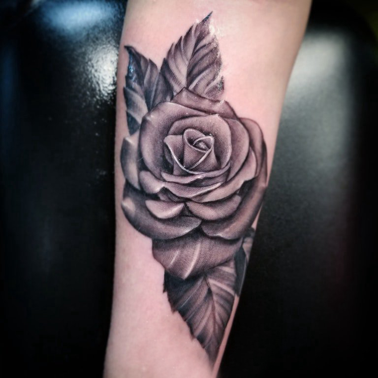 点击大图看下一张：纹身玫瑰花  女生小臂上黑灰色的玫瑰花纹身图片