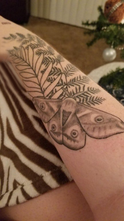 点击大图看下一张：手臂纹身素材 女生手臂上植物和飞蛾纹身图片