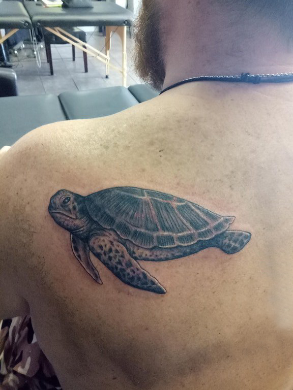 点击大图看下一张：纹身后背男 男生后背上黑色的海龟纹身图片