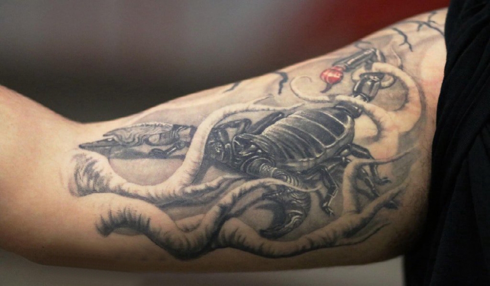 点击大图看下一张：蝎子图片纹身  男生手臂上素描的蝎子纹身图片