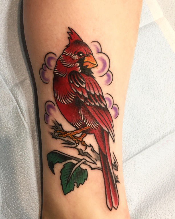 点击大图看下一张：纹身鸟  女生小腿上彩绘的鸟纹身图片