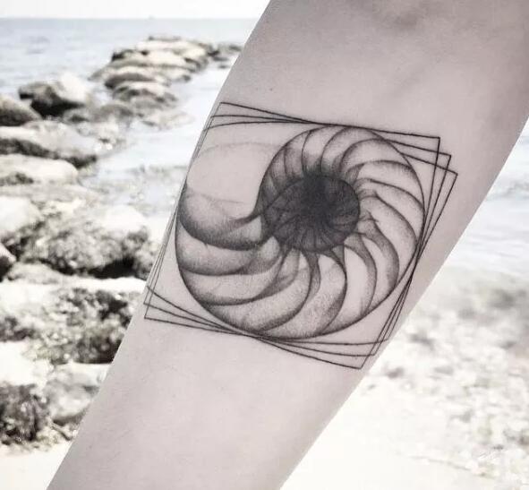 点击大图看下一张：多款创意的贝壳个性纹身图案