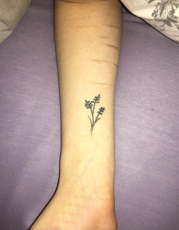 点击大图看下一张：小清新植物纹身 女生手腕上黑色的植物纹身图片