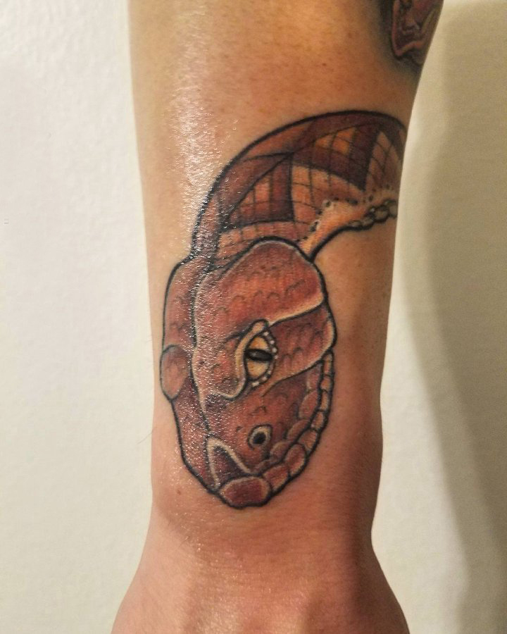 点击大图看下一张：纹身蛇魔 男生手臂上彩色的蛇头纹身图片
