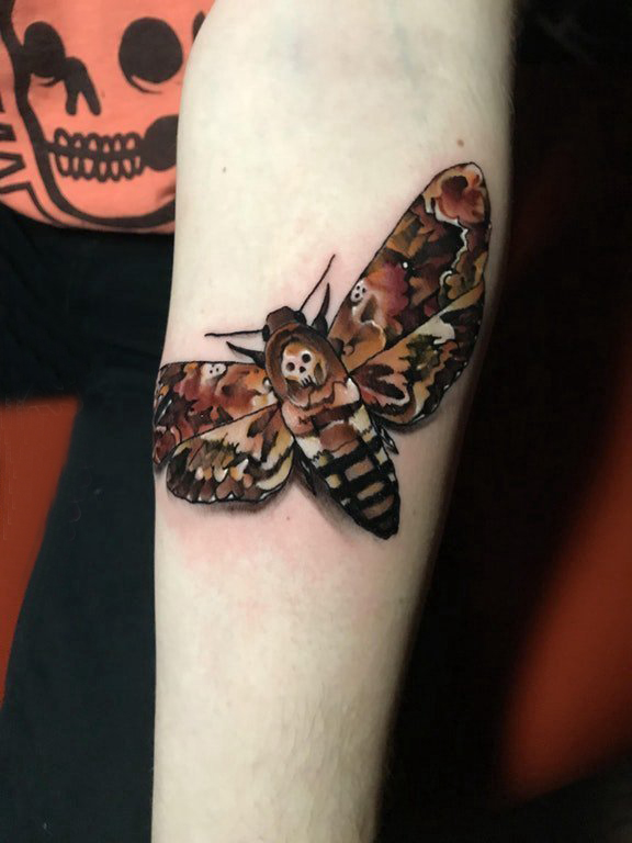 点击大图看下一张：百乐动物纹身 女生手臂上彩色的飞蛾纹身图片