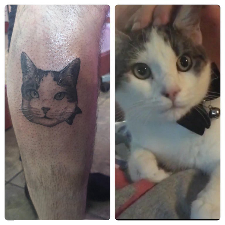 点击大图看下一张：超写实纹身 男生小腿上黑色的猫咪纹身图片