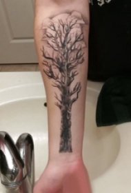 植物纹身 男生手臂上黑色的枯树枝纹身图片