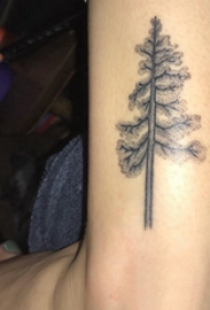 植物纹身 男生手臂上茂密的大树纹身图片