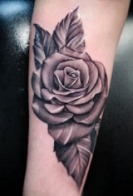 纹身玫瑰花  女生小臂上黑灰色的玫瑰花纹身图片