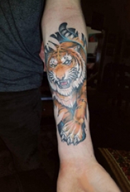 百乐动物纹身  男生手臂上彩绘老虎纹身图片