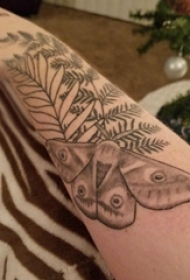 手臂纹身素材 女生手臂上植物和飞蛾纹身图片