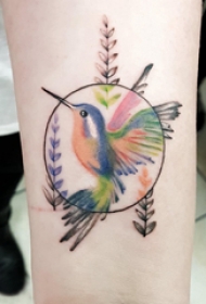 纹身鸟 男生手臂上圆形和鸟纹身图片