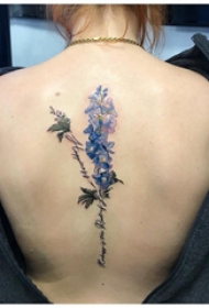 植物纹身 女生后背上英文和花朵纹身图片