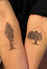 植物纹身 情侣手臂上几何和生命树纹身图片