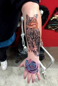 纹身猫头鹰  男生手臂上猫头鹰和玫瑰花纹身图片