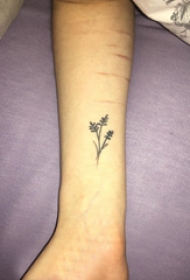 小清新植物纹身 女生手腕上黑色的植物纹身图片