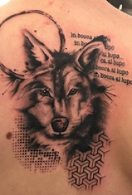 滴血狼头纹身  男生后背上黑灰色的滴血狼头纹身图片