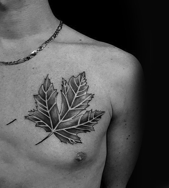 点击大图看下一张：枫叶纹身图  多款适合男生的枫叶纹身图案
