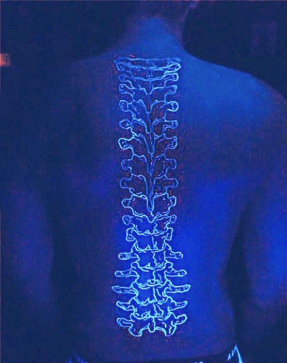 点击大图看下一张：男生脊柱纹身  多款后背上的脊柱纹身图案