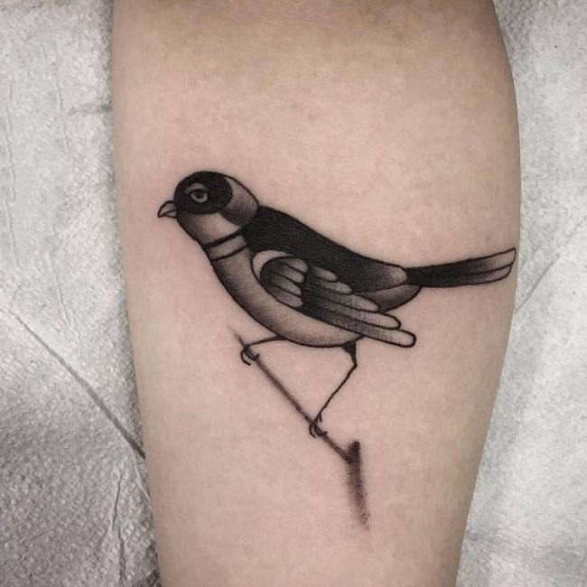 点击大图看下一张：纹身鸟  小巧可爱的麻雀燕子等小鸟纹身图案
