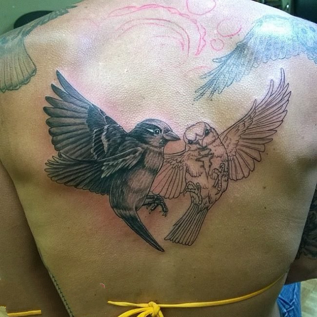 点击大图看下一张：纹身鸟  小巧可爱的麻雀燕子等小鸟纹身图案