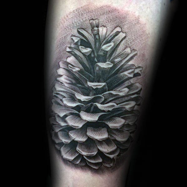 点击大图看下一张：植物纹身   黑灰色调风格的松果纹身图案